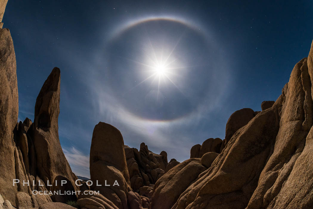 Full moon with 22-degree lunar halo, Joshua Tree National Park. The lunar halo (not to be cofused with lunar corona) forms when moonlight refracts through high altitude ice crystals. As no light is refracted at angles smaller than 22-degrees the sky is darker inside the halo