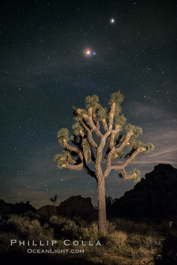 Full lunar eclipse, blood red moon, with blue star Spica (right of moon) and planet Mars (top right), over Joshua Tree National Park, April 14/15, 2014