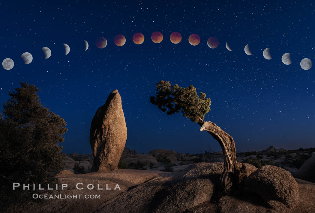 Lunar Eclipse and blood red moon sequence, over Juniper and Standing Rock, composite image, Joshua Tree National Park, April 14/15 2014