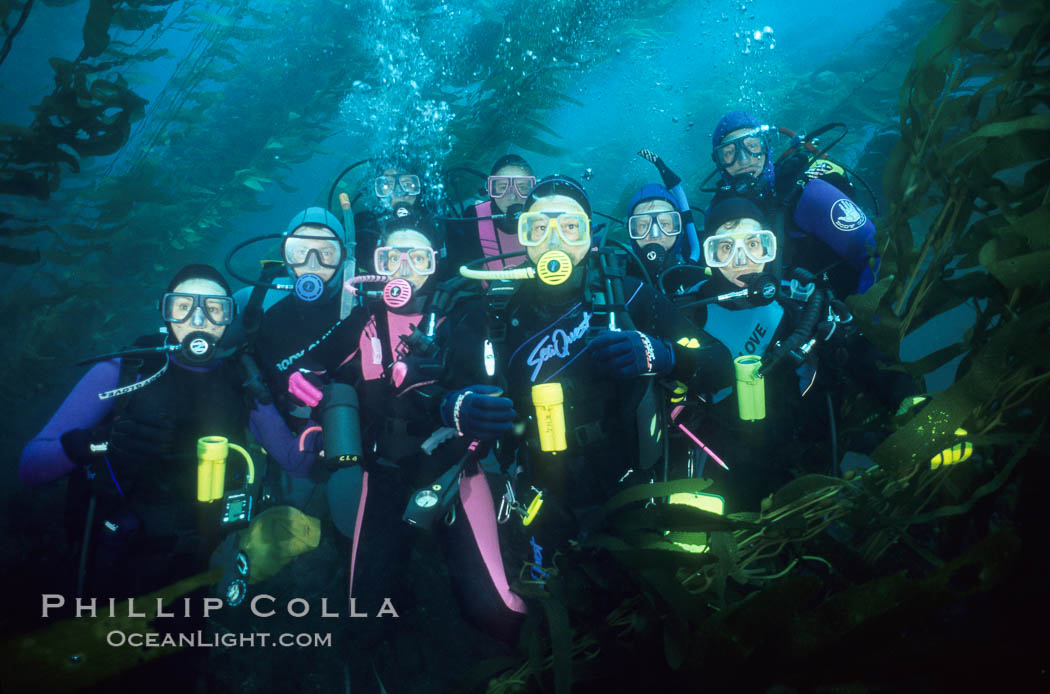 Divers and kelp forest. San Clemente Island, California, USA, Macrocystis pyrifera, natural history stock photograph, photo id 02990