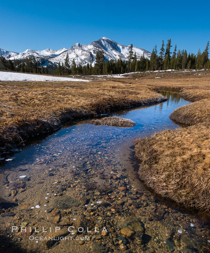 Mammoth Peak over Tuolumne Meadows, Tioga Pass, Yosemite National Park. California, USA, natural history stock photograph, photo id 28511