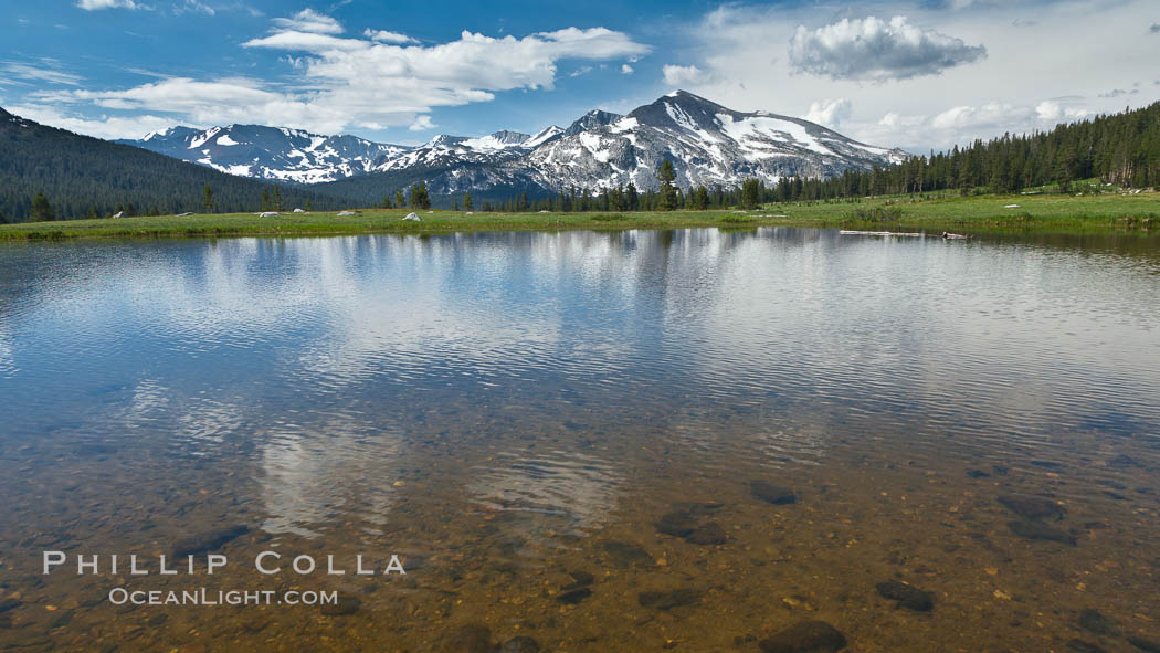Mammoth Peak in the Yosemite High Country, reflected in small tarn pond, viewed from meadows near Tioga Pass. Yosemite National Park, California, USA, natural history stock photograph, photo id 26982