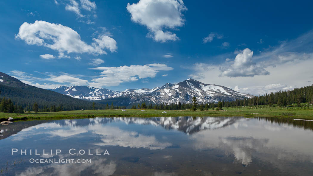Mammoth Peak in the Yosemite High Country, reflected in small tarn pond, viewed from meadows near Tioga Pass. Yosemite National Park, California, USA, natural history stock photograph, photo id 26995