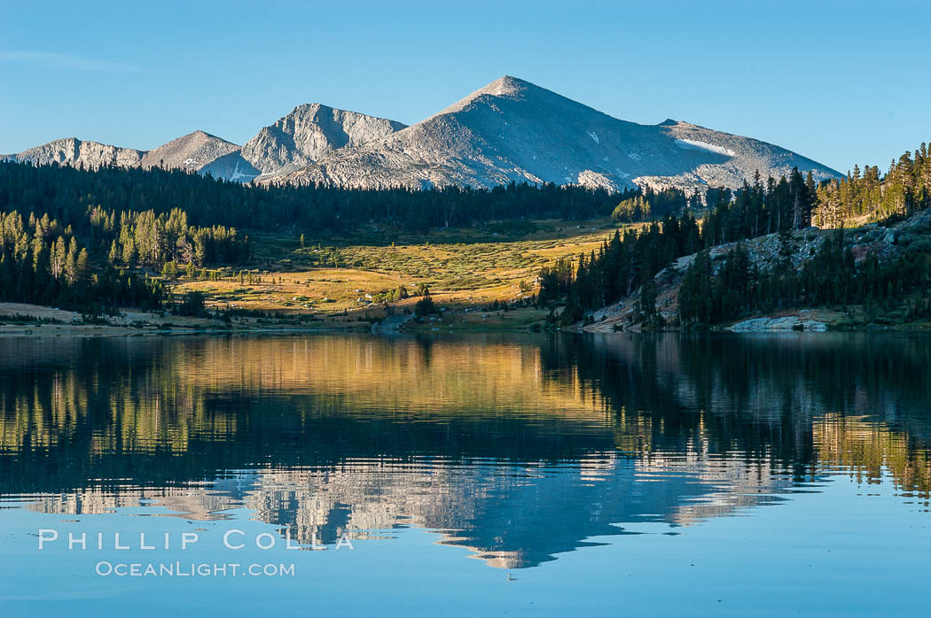 Mammoth Peak in the High Sierra range is reflected in Tioga Lake at sunrise. This spectacular location is just a short walk from the Tioga Pass road. Near Tuolumne Meadows and Yosemite National Park