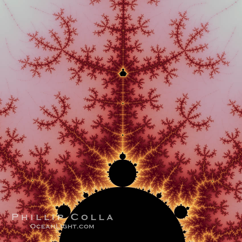 Detail within the Mandelbrot set fractal.  This detail is found by zooming in on the overall Mandelbrot set image, finding edges and buds with interesting features.  Fractals are complex geometric shapes that exhibit repeating patterns typified by <i>self-similarity</i>, or the tendency for the details of a shape to appear similar to the shape itself.  Often these shapes resemble patterns occurring naturally in the physical world, such as spiraling leaves, seemingly random coastlines, erosion and liquid waves.  Fractals are generated through surprisingly simple underlying mathematical expressions, producing subtle and surprising patterns.  The basic iterative expression for the Mandelbrot set is z = z-squared + c, operating in the complex (real, imaginary) number set., Mandelbrot set, natural history stock photograph, photo id 10383