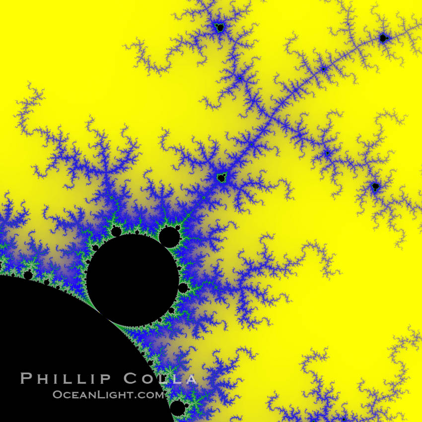 Detail within the Mandelbrot set fractal.  This detail is found by zooming in on the overall Mandelbrot set image, finding edges and buds with interesting features.  Fractals are complex geometric shapes that exhibit repeating patterns typified by <i>self-similarity</i>, or the tendency for the details of a shape to appear similar to the shape itself.  Often these shapes resemble patterns occurring naturally in the physical world, such as spiraling leaves, seemingly random coastlines, erosion and liquid waves.  Fractals are generated through surprisingly simple underlying mathematical expressions, producing subtle and surprising patterns.  The basic iterative expression for the Mandelbrot set is z = z-squared + c, operating in the complex (real, imaginary) number set., Mandelbrot set, natural history stock photograph, photo id 10377