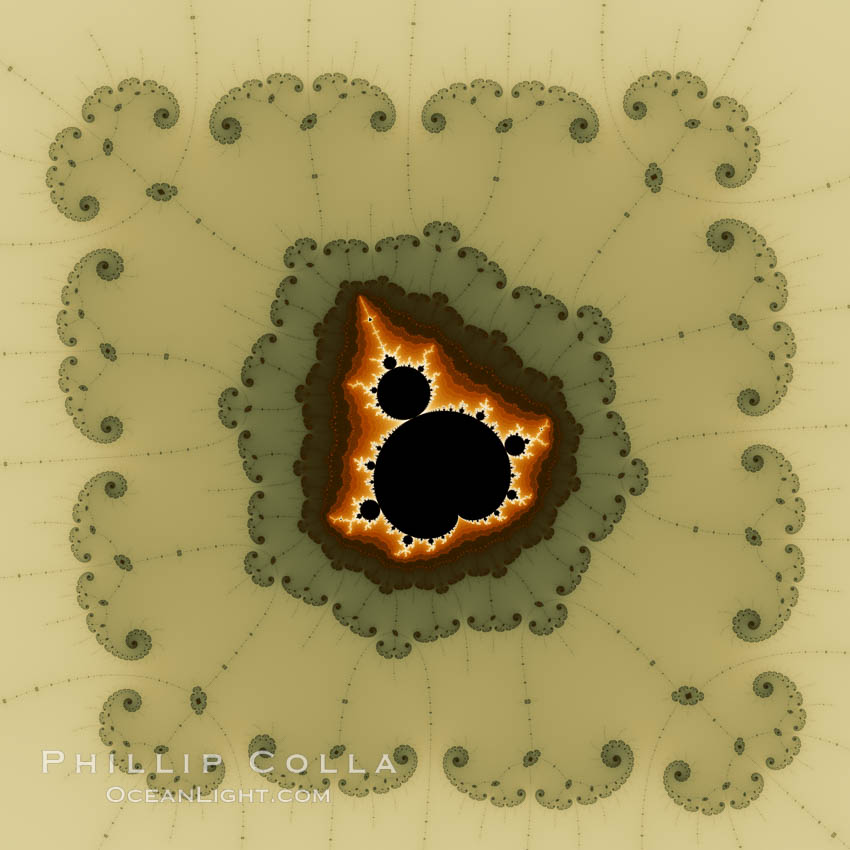 Detail within the Mandelbrot set fractal.  This detail is found by zooming in on the overall Mandelbrot set image, finding edges and buds with interesting features.  Fractals are complex geometric shapes that exhibit repeating patterns typified by <i>self-similarity</i>, or the tendency for the details of a shape to appear similar to the shape itself.  Often these shapes resemble patterns occurring naturally in the physical world, such as spiraling leaves, seemingly random coastlines, erosion and liquid waves.  Fractals are generated through surprisingly simple underlying mathematical expressions, producing subtle and surprising patterns.  The basic iterative expression for the Mandelbrot set is z = z-squared + c, operating in the complex (real, imaginary) number set., Mandelbrot set, natural history stock photograph, photo id 10385