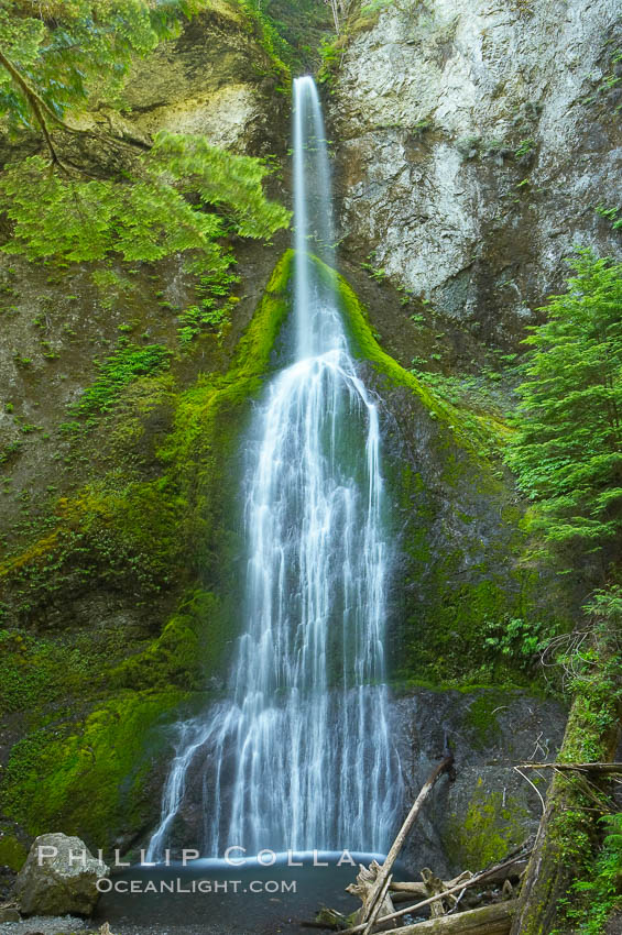 Marymere Falls cascades 90 feet through an old-growth forest of Douglas firs, near Lake Crescent, Olympic National Park, Washington