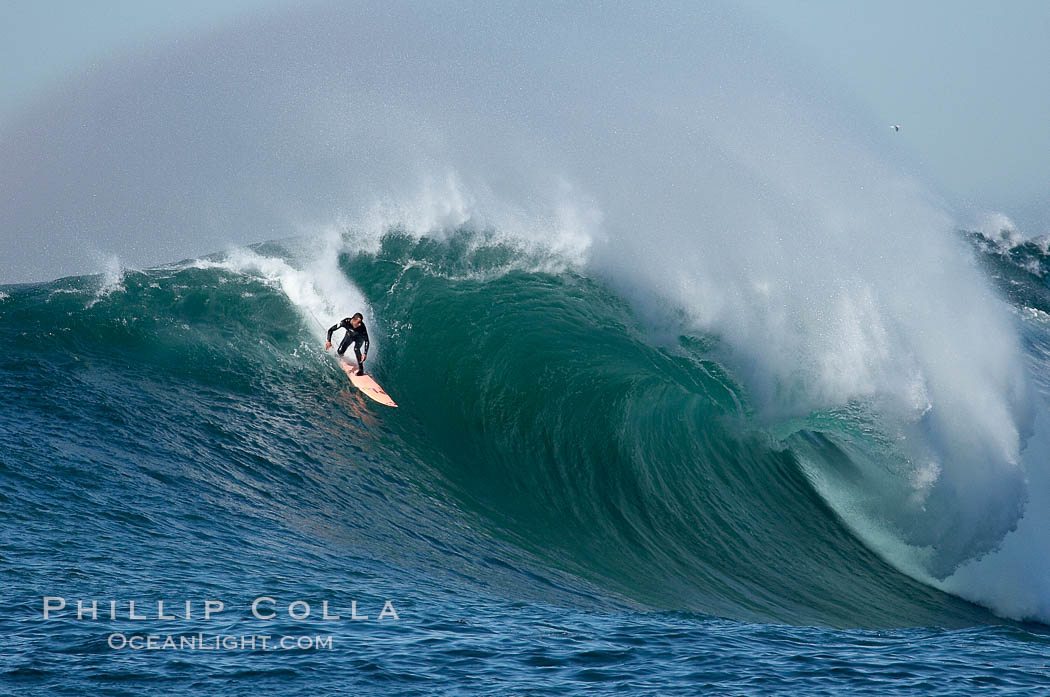 Anthony Tashnick (2005 Mavericks champion), Mavericks, freesurfing during the break before the final round, February 7, 2006. Half Moon Bay, California, USA, natural history stock photograph, photo id 15350