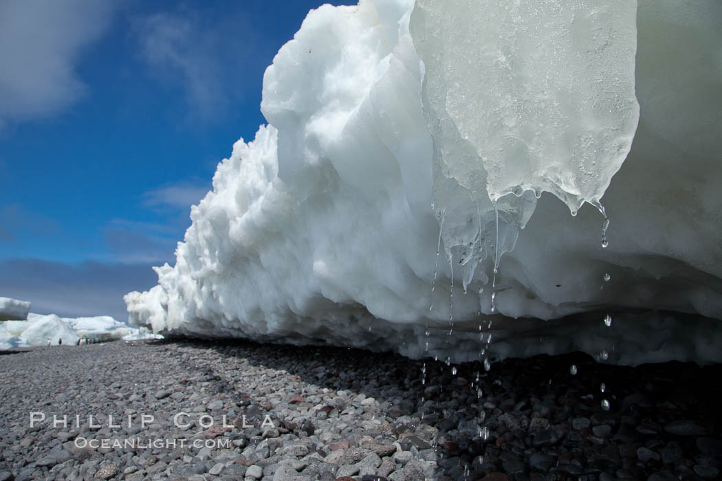 Melting ice along the shore of Paulet Island. Antarctic Peninsula, Antarctica, natural history stock photograph, photo id 24833