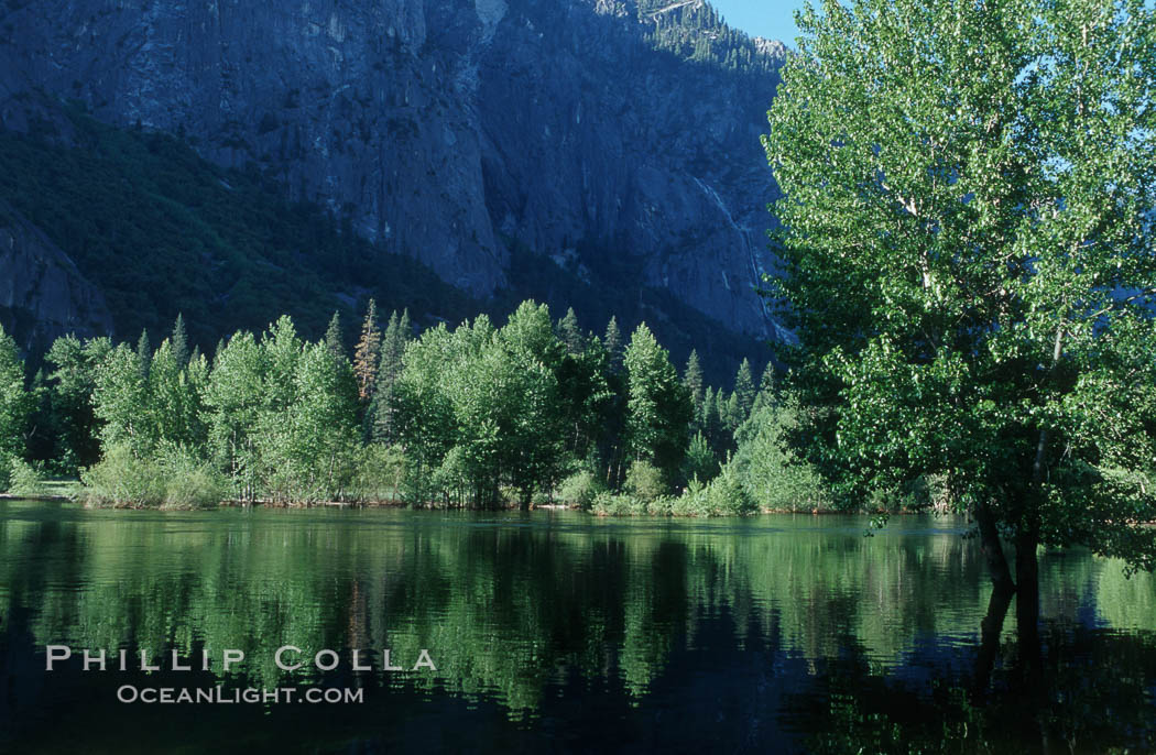 Merced River near peak flow floods Cooks Meadow in late Spring, Yosemite Valley. Yosemite National Park, California, USA, natural history stock photograph, photo id 07136