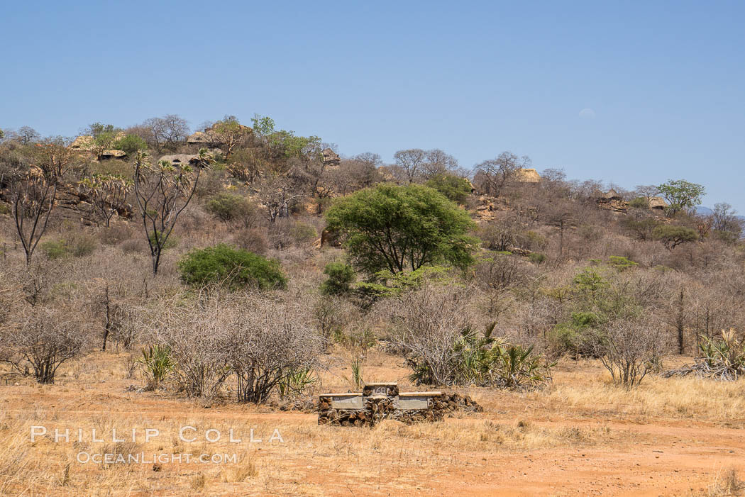 Meru National Park landscape. Kenya, natural history stock photograph, photo id 29666