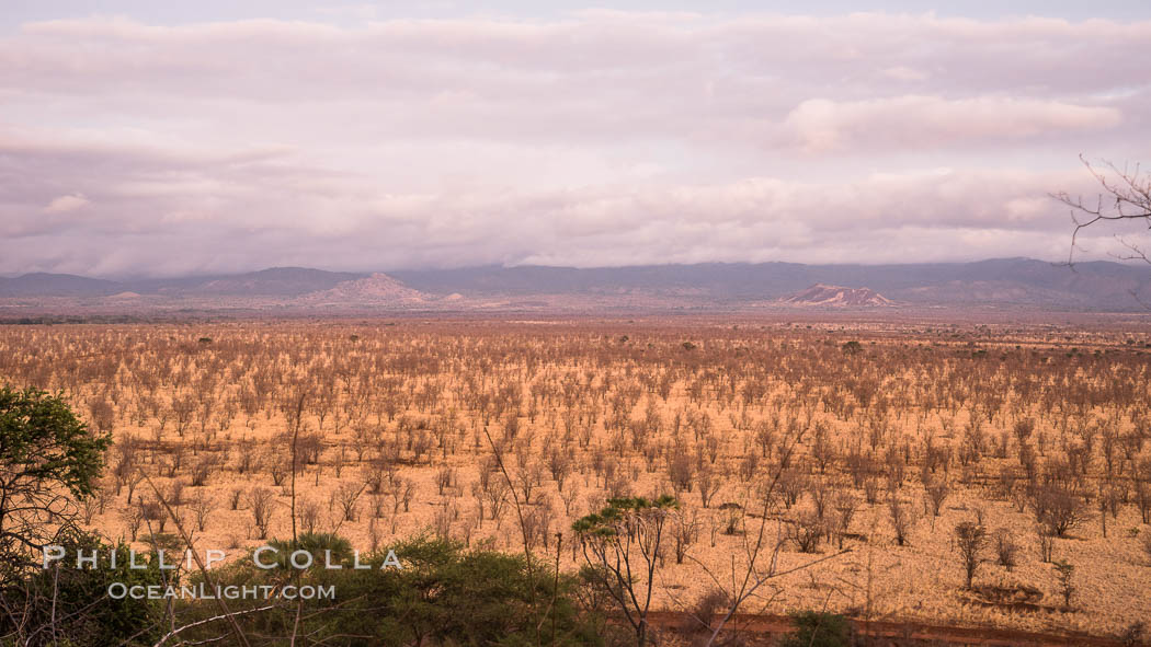 Meru National Park landscape. Kenya, natural history stock photograph, photo id 29677