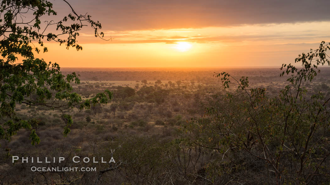 Meru National Park sunrise landscape. Kenya, natural history stock photograph, photo id 29760