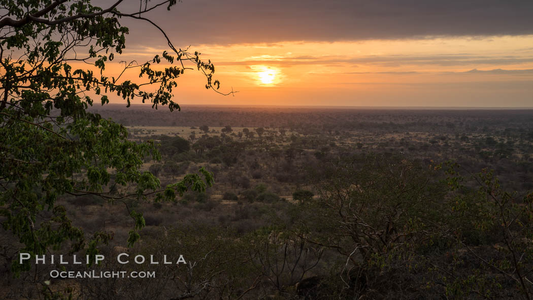 Meru National Park sunrise landscape. Kenya, natural history stock photograph, photo id 29759