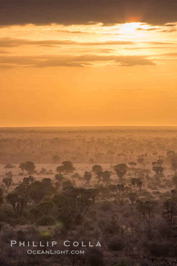 Meru National Park sunrise landscape. Kenya, natural history stock photograph, photo id 29761