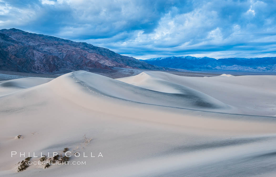 Mesquite Dunes at sunrise, dawn, clouds and morning sky, sand dunes. Death Valley National Park, California, USA, natural history stock photograph, photo id 30476