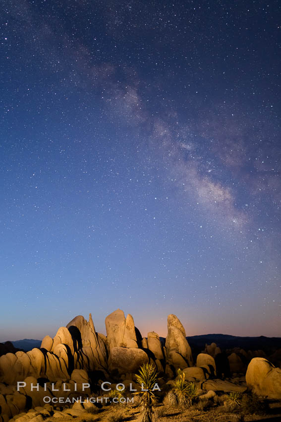 Milky Way over Joshua Tree National Park at Astronomical Twilight, Pre-dawn. California, USA, natural history stock photograph, photo id 28414