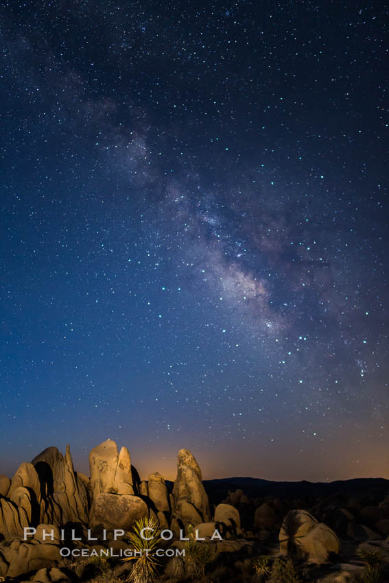 Milky Way over Joshua Tree National Park. California, USA, natural history stock photograph, photo id 28413