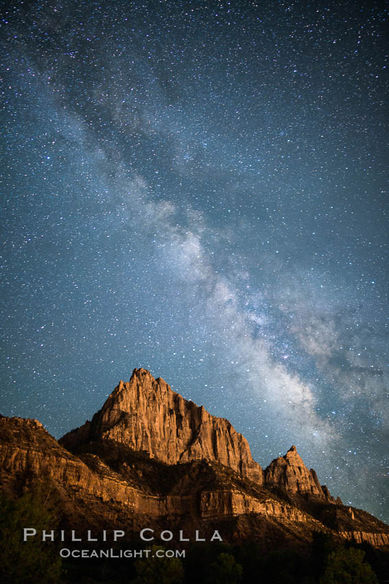 Milky Way over the Watchman, Zion National Park.  The Milky Way galaxy rises in the night sky above the the Watchman. Utah, USA, natural history stock photograph, photo id 28586