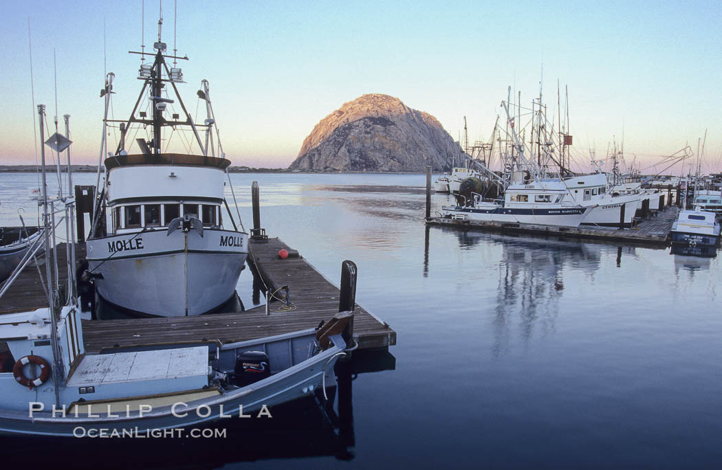 Fishing boats line the docks at sunrise, Morro Rock in the background. Morro Bay, California, USA, natural history stock photograph, photo id 06442