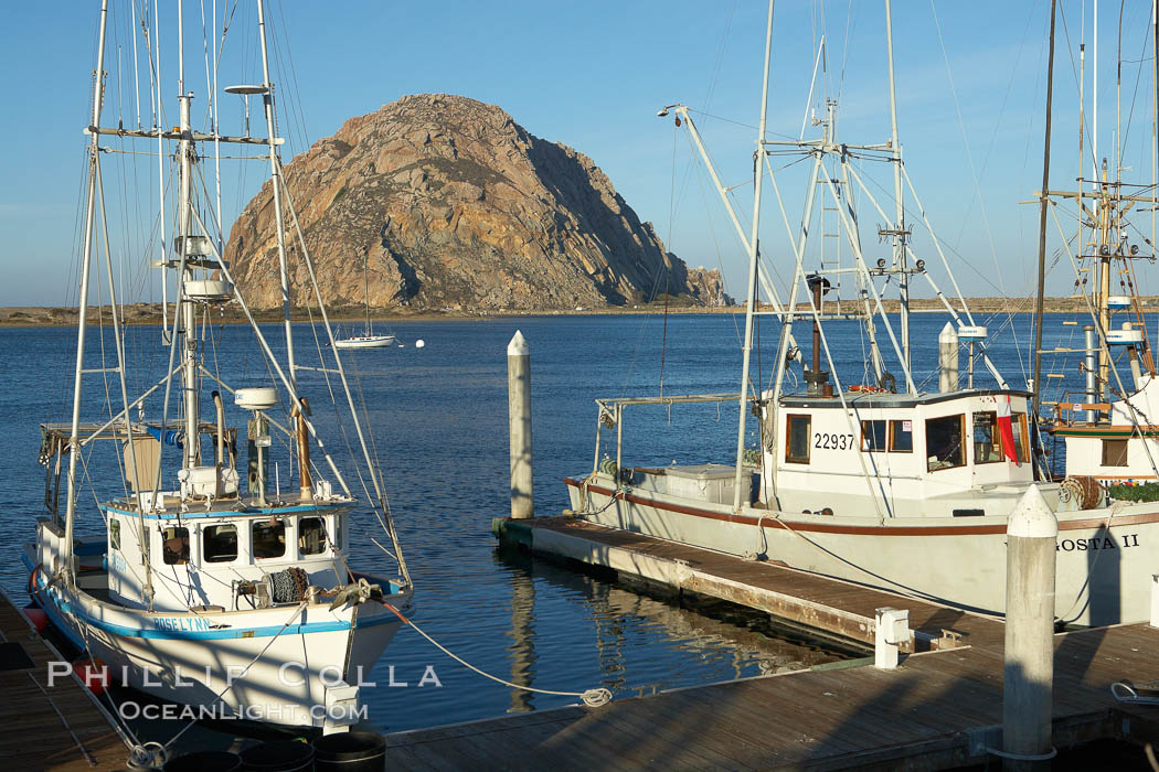 Boats in Morro Bay. California, USA, natural history stock photograph, photo id 22244