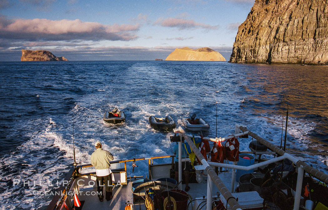 Motoring, south end of Guadalupe Island, Isla Afuera (left) and Isla Adentro (right) in distance. Guadalupe Island (Isla Guadalupe), Baja California, Mexico, natural history stock photograph, photo id 36230