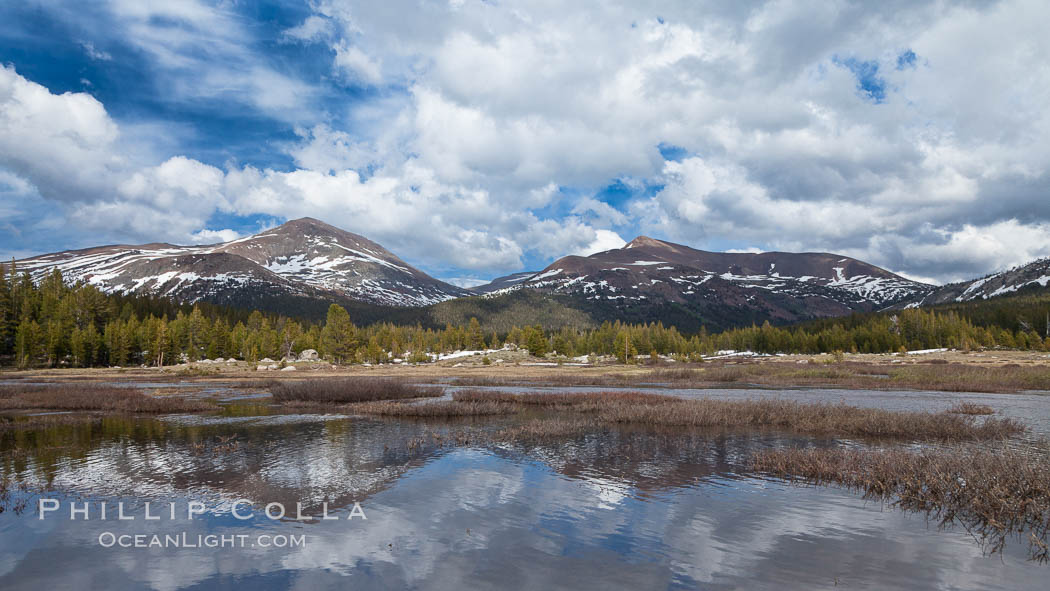 Mount Dana and Mount Gibbs reflected in the Dana Fork of the Tuolumne River. Yosemite National Park, California, USA, natural history stock photograph, photo id 26867