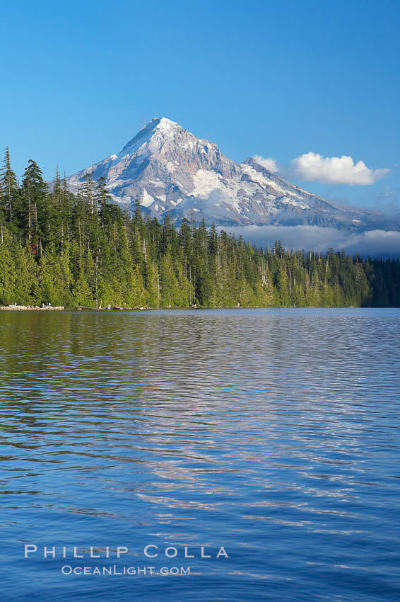 Mount Hood rises above Lost Lake. Mt. Hood National Forest, Oregon, USA, natural history stock photograph, photo id 19372
