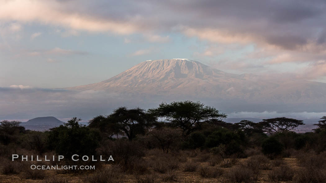 Mount Kilimanjaro, Tanzania, viewed from Amboseli National Park, Kenya., natural history stock photograph, photo id 29540