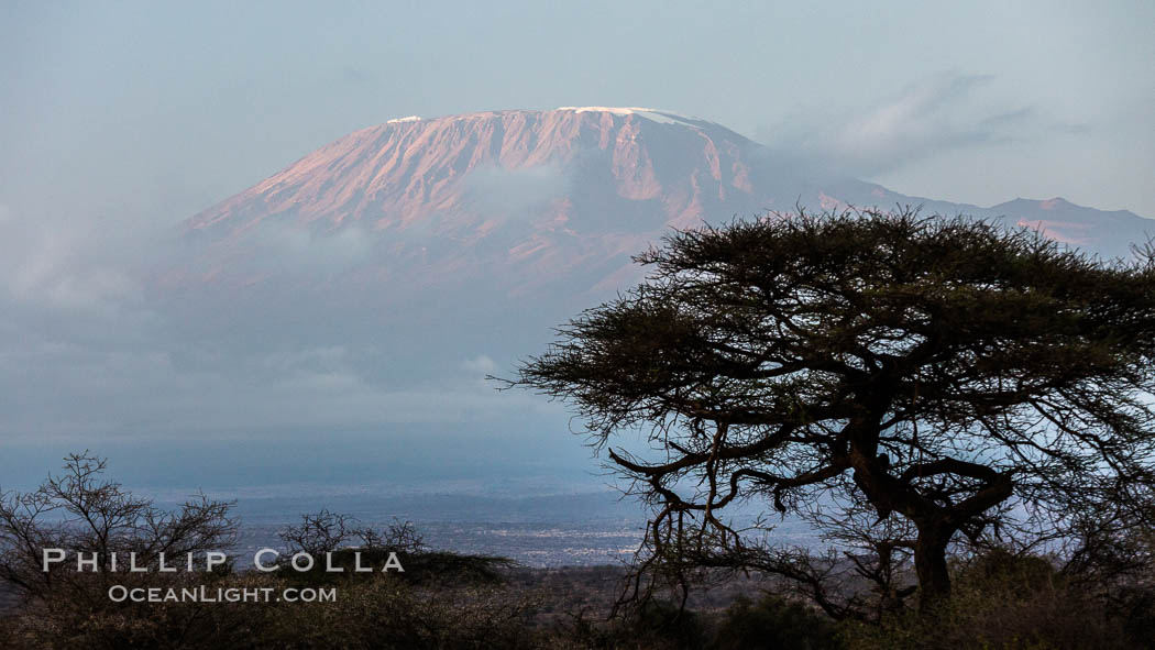 Mount Kilimanjaro, Tanzania, viewed from Amboseli NP, Kenya. Amboseli National Park, natural history stock photograph, photo id 29560