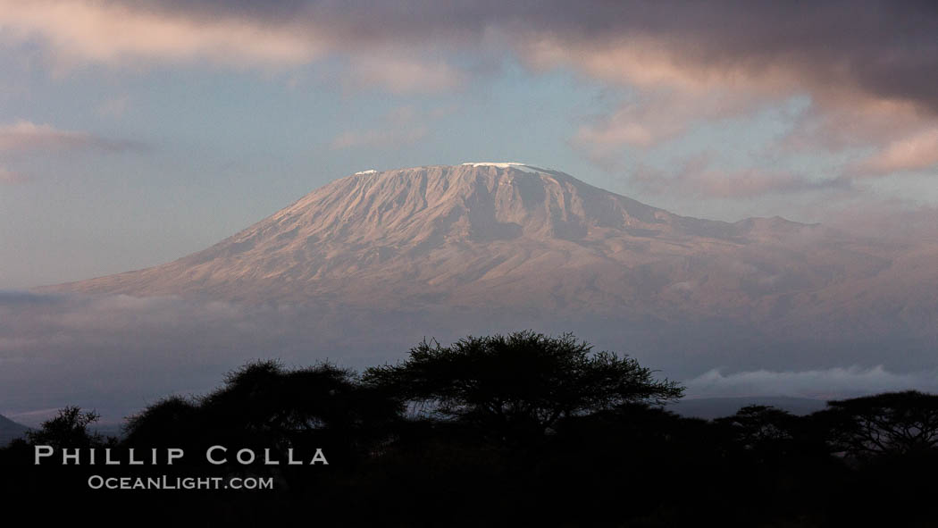 Mount Kilimanjaro, Tanzania, viewed from Amboseli NP, Kenya. Amboseli National Park, natural history stock photograph, photo id 29539