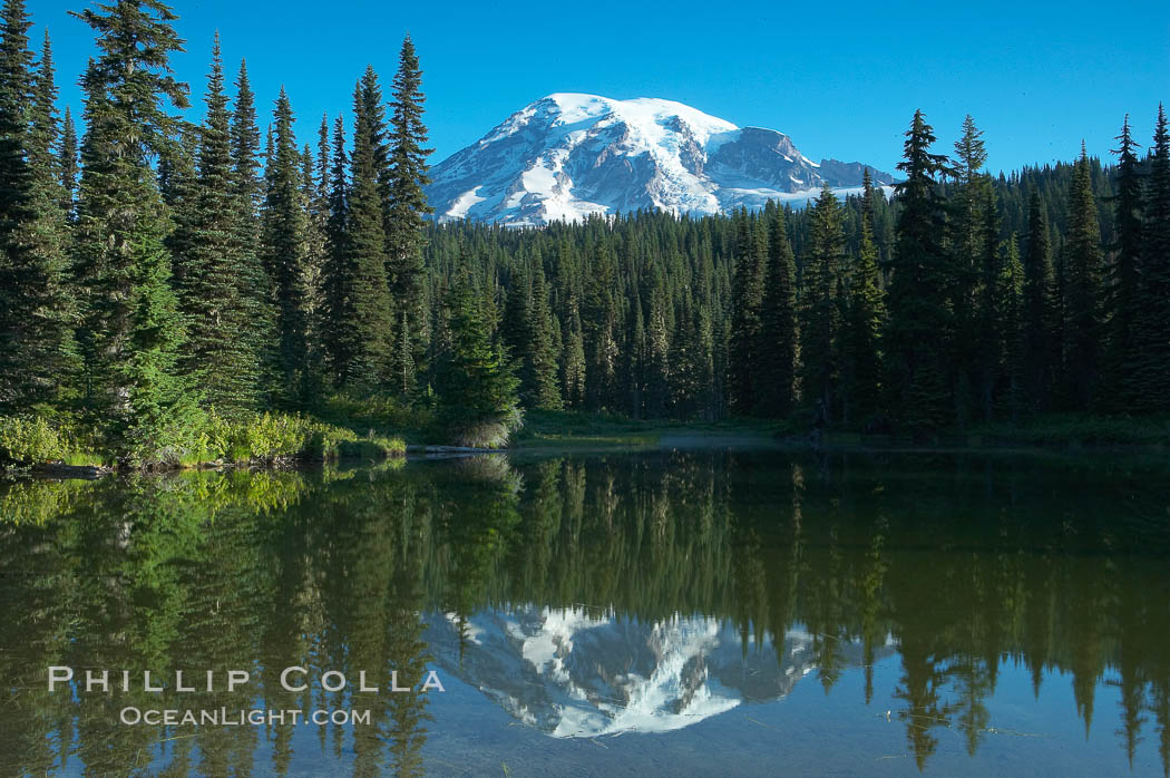 Mount Rainier is reflected in the calm waters of Reflection Lake, early morning. Mount Rainier National Park, Washington, USA, natural history stock photograph, photo id 13860