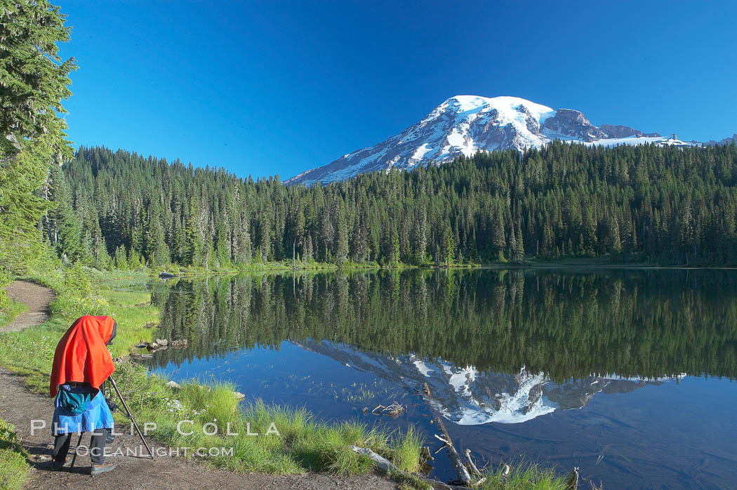 A photographer composes his image with a large view camera, Reflection Lake and Mount Rainier. Mount Rainier National Park, Washington, USA, natural history stock photograph, photo id 13951