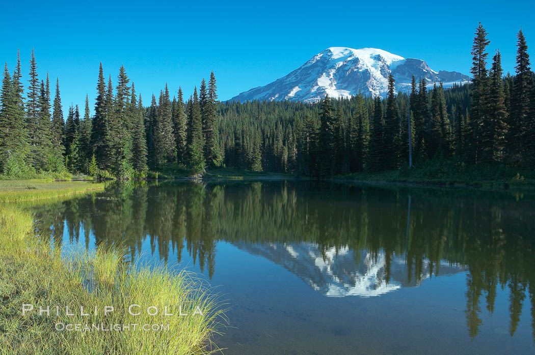Mount Rainier is reflected in the calm waters of Reflection Lake, early morning. Mount Rainier National Park, Washington, USA, natural history stock photograph, photo id 13861