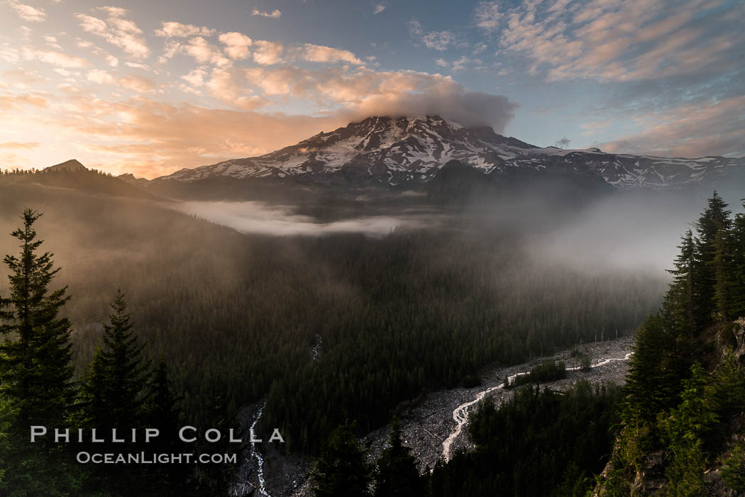 Mount Rainier sunset, viewed from Ricksecker Point. Mount Rainier National Park, Washington, USA, natural history stock photograph, photo id 28722