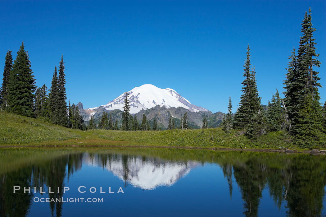 Mount Rainier is reflected in Upper Tipsoo Lake. Tipsoo Lakes, Mount Rainier National Park, Washington, USA, natural history stock photograph, photo id 13836