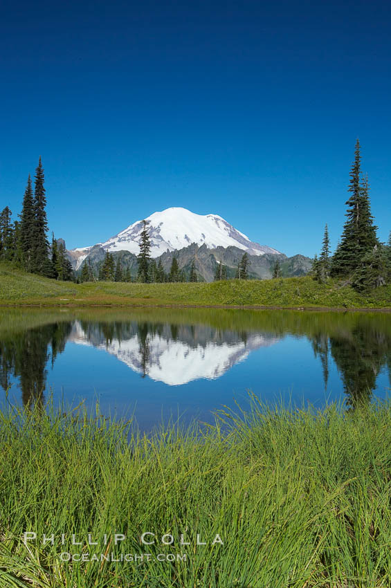 Mount Rainier is reflected in Upper Tipsoo Lake. Tipsoo Lakes, Mount Rainier National Park, Washington, USA, natural history stock photograph, photo id 13833
