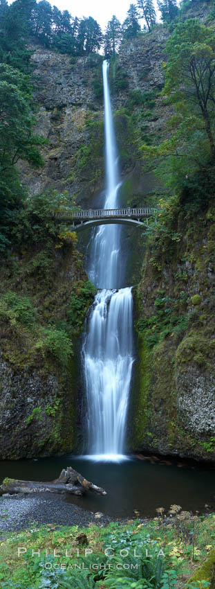 Multnomah Falls.  Plummeting 620 feet from its origins on Larch Mountain, Multnomah Falls is the second highest year-round waterfall in the United States.  Nearly two million visitors a year come to see this ancient waterfall making it Oregon's number one public destination. Columbia River Gorge National Scenic Area, USA, natural history stock photograph, photo id 19314