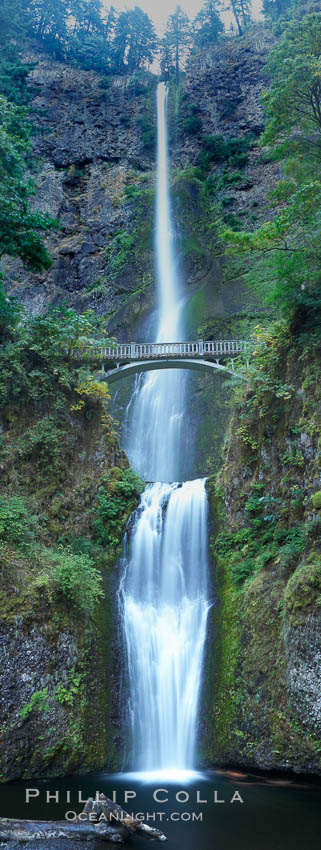 Multnomah Falls.  Plummeting 620 feet from its origins on Larch Mountain, Multnomah Falls is the second highest year-round waterfall in the United States.  Nearly two million visitors a year come to see this ancient waterfall making it Oregon's number one public destination. Columbia River Gorge National Scenic Area, USA, natural history stock photograph, photo id 19313