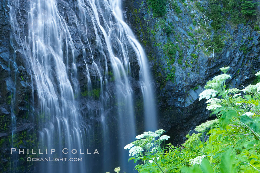 Narada Falls. Mount Rainier National Park, Washington, USA, natural history stock photograph, photo id 13842