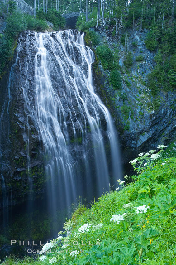 Narada Falls. Mount Rainier National Park, Washington, USA, natural history stock photograph, photo id 13839