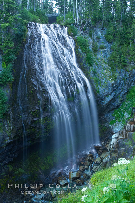 Narada Falls. Mount Rainier National Park, Washington, USA, natural history stock photograph, photo id 13837