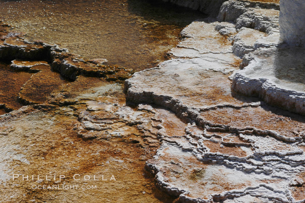 Steam rises from the travertine terraces of New Blue Spring, part of the Mammoth Hot Springs complex. Yellowstone National Park, Wyoming, USA, natural history stock photograph, photo id 07278