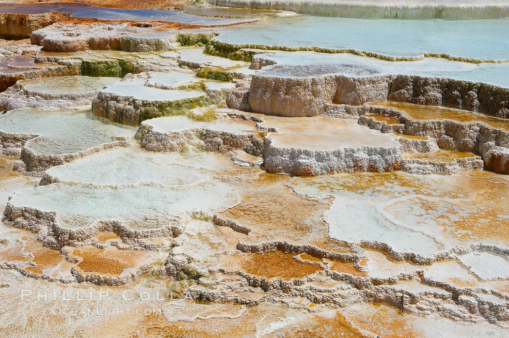 New Blue Spring and its travertine terraces, part of the Mammoth Hot Springs complex. Yellowstone National Park, Wyoming, USA, natural history stock photograph, photo id 13626