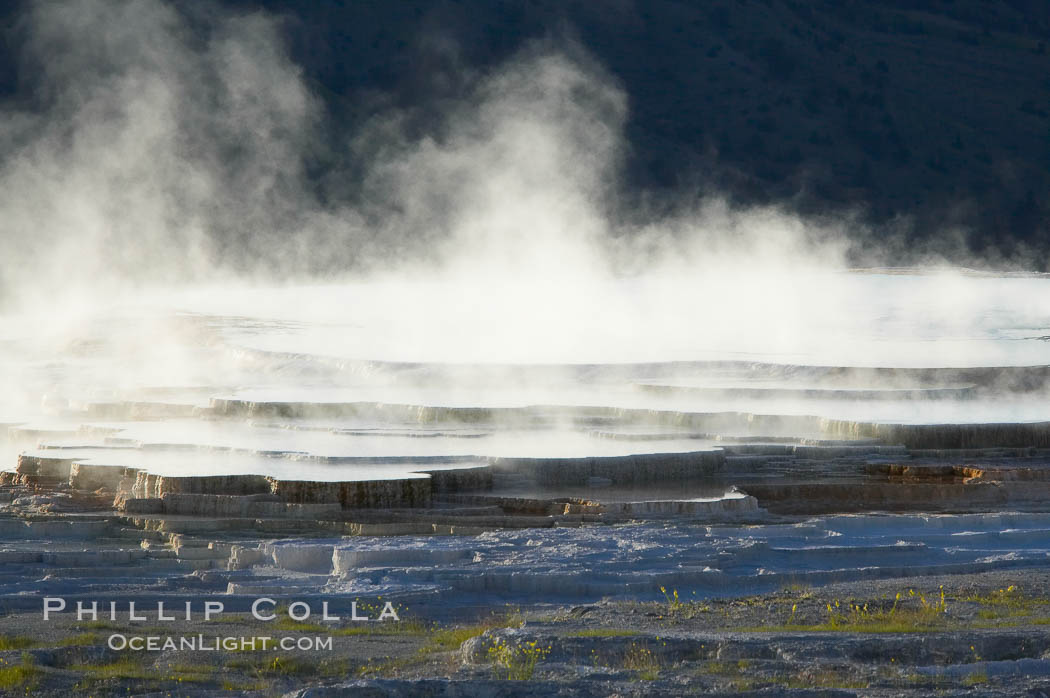 New Blue Spring steams in the cold morning air.  Mammoth Hot Springs. Yellowstone National Park, Wyoming, USA, natural history stock photograph, photo id 13612