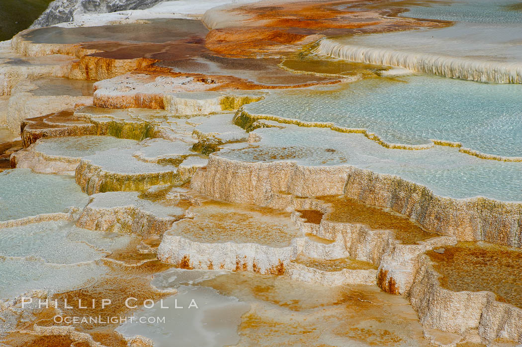 New Blue Spring and its travertine terraces, part of the Mammoth Hot Springs complex. Yellowstone National Park, Wyoming, USA, natural history stock photograph, photo id 13624