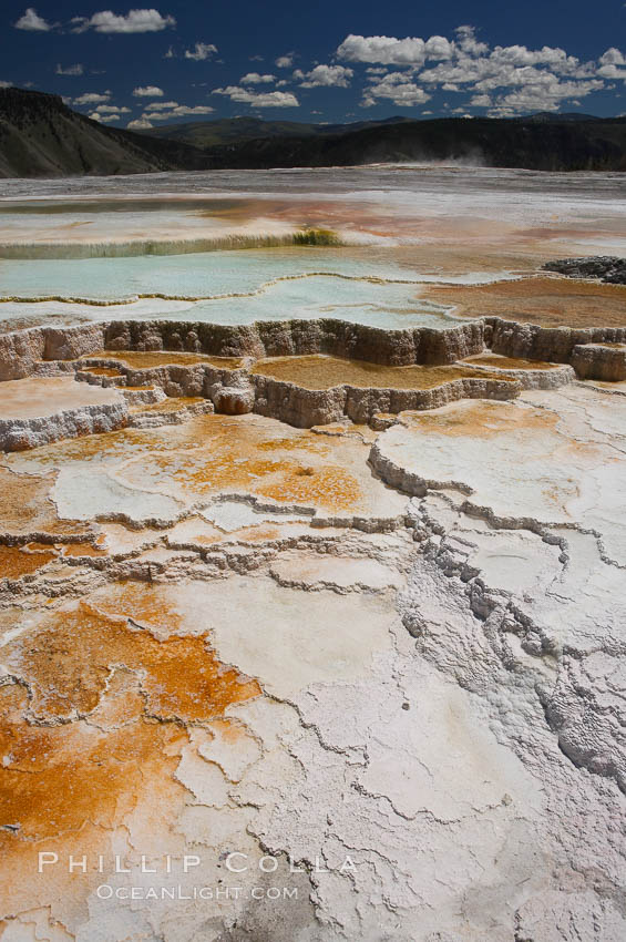 New Blue Spring and its travertine terraces, part of the Mammoth Hot Springs complex. Yellowstone National Park, Wyoming, USA, natural history stock photograph, photo id 13625