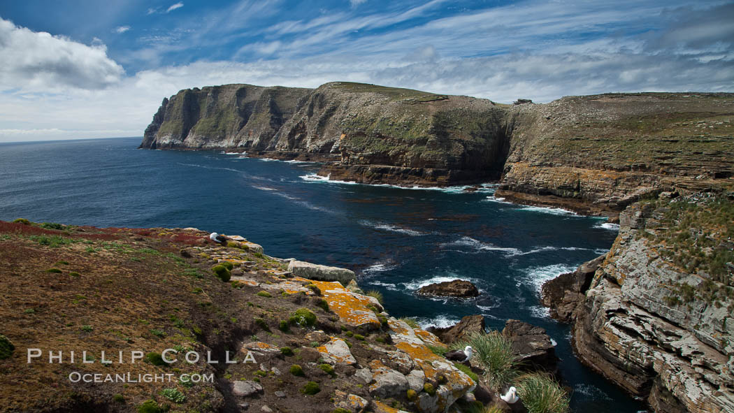 Tall seacliffs overlook the southern Atlantic Ocean, a habitat on which albatross and penguin reside, New Island