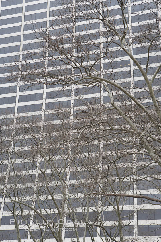 Trees and buildings, winter. Manhattan, New York City, USA, natural history stock photograph, photo id 11162